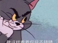 沙雕且有趣文案，沙雕有趣的文案